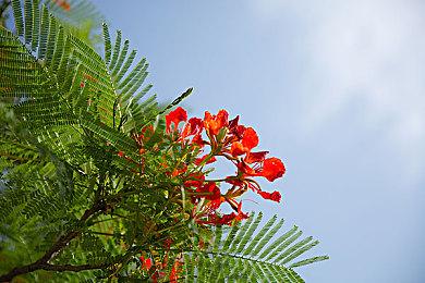 《暗黑破坏神4》BETA会导致一些GPU过热